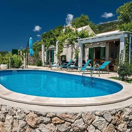 House Ivo