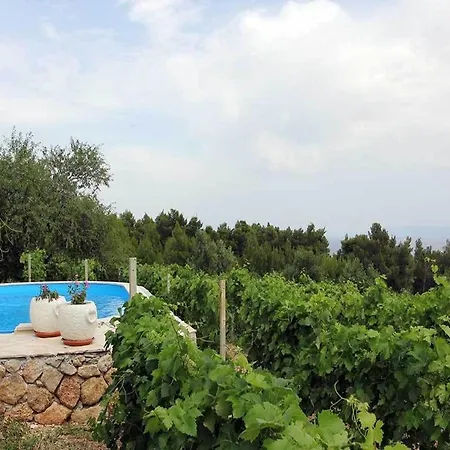 بيت للعطل House Ivo بول